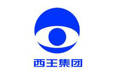 山東西王糖業有限公司